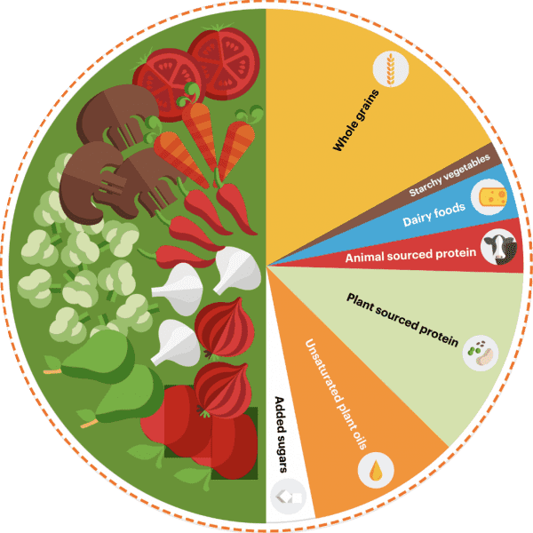 Planetary healthy plate EAT-Lancet Planetary healthy plate EAT-Lancet
