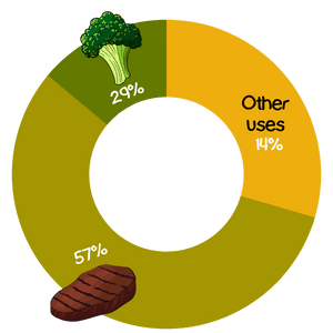 pie chart