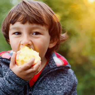 Child eating fruit in Autumn