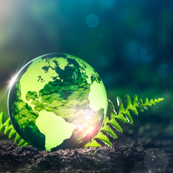 Glass globe in soil Glass globe in soil