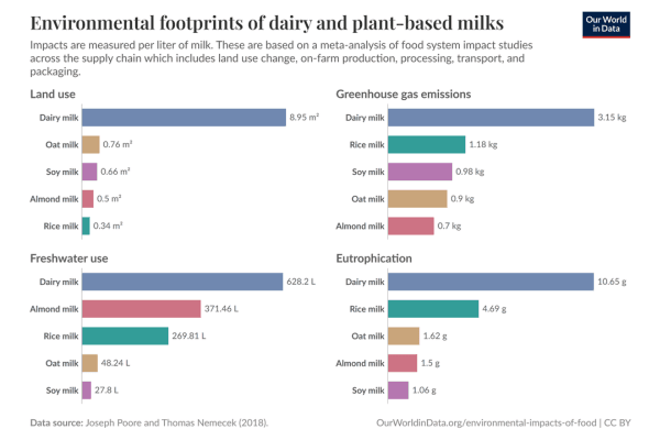 Dairy vs Plant Based Milks Dairy vs Plant Based Milks