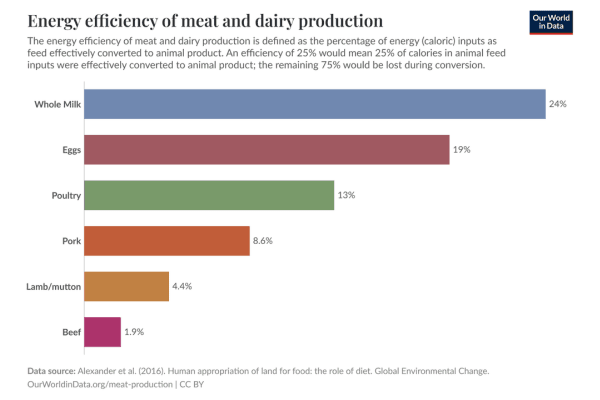 Inefficiency Meat and Dairy Inefficiency Meat and Dairy