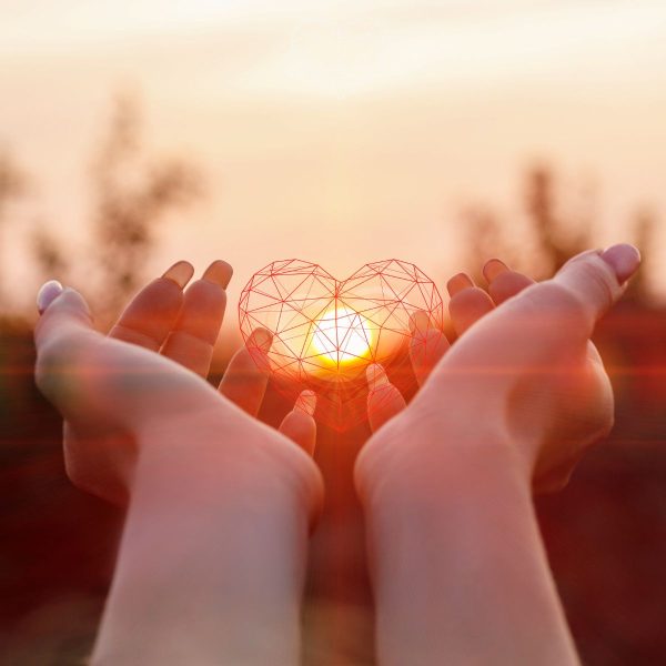 Love Your Heart